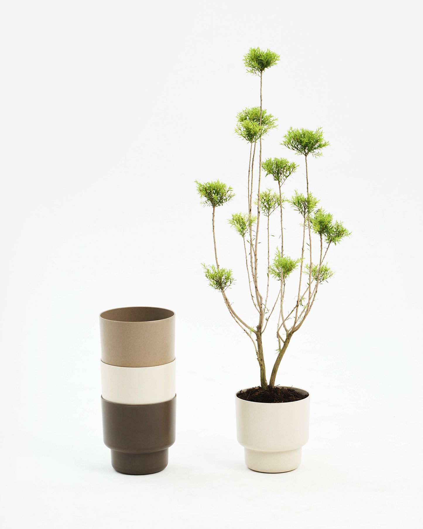 PlasCoff Plant Stand
