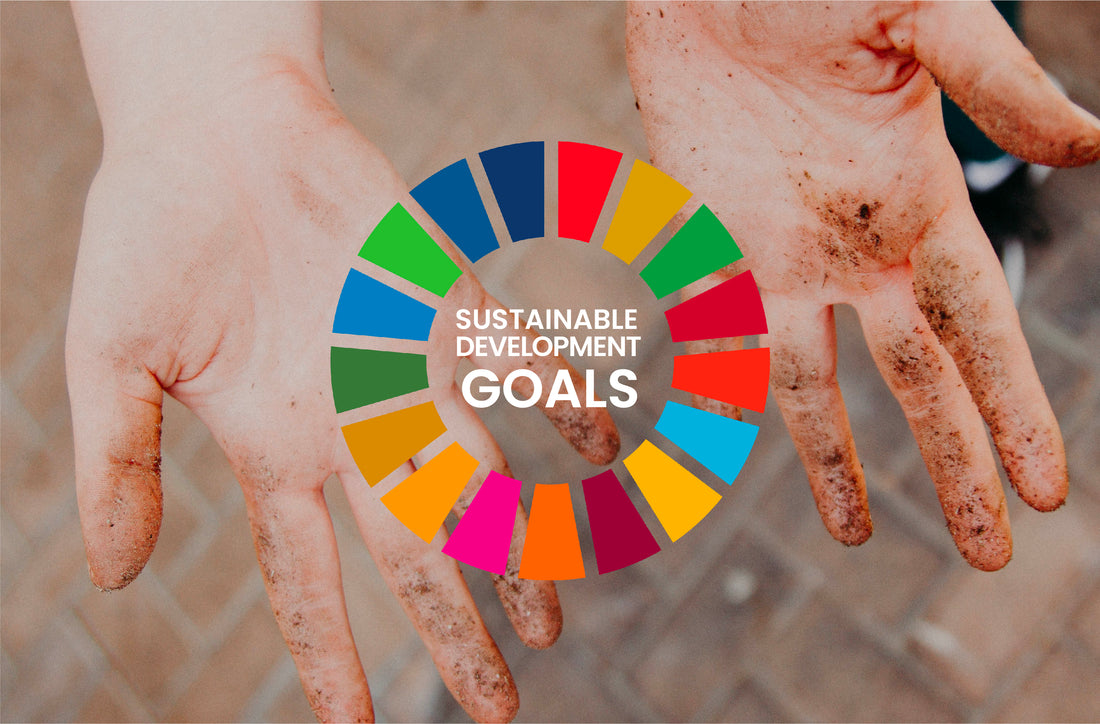 moRE's Sustainable Development Goals (SDGs)